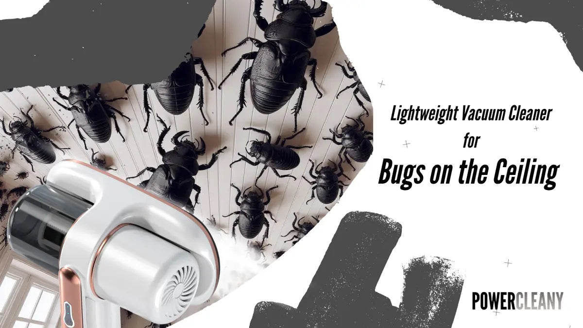 Best Lightweight Vacuum Cleaner for Sucking up Bugs on the Ceiling