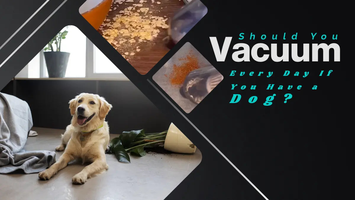 Should You Vacuum Every Day If You Have a Dog?