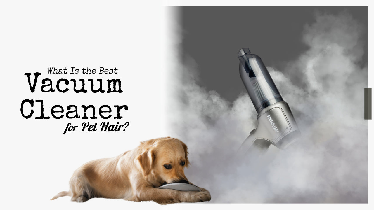 What Is the Best Vacuum Cleaner for Pet Hair?